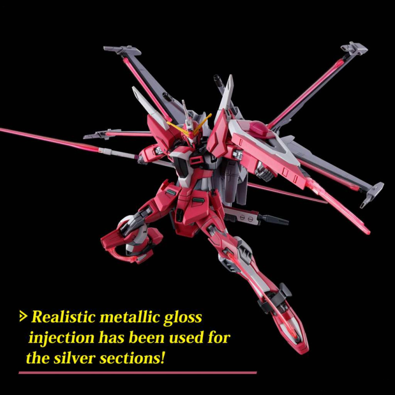 Gundam Gunpla HG 1/144 251 Infinite Justice Gundam Type II